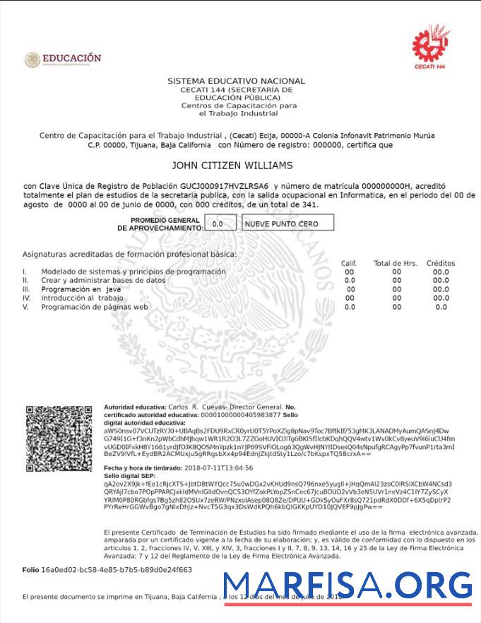 Realistic Mexico Sistema educativo nacional download for verification